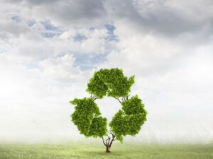 Journée mondiale du recyclage 2022 : quelles avancées ?