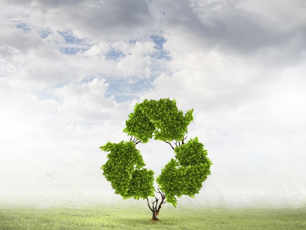 Journée mondiale du recyclage 2022